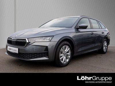 Gebraucht Skoda Octavia Essence 116 PS (85 kW) 2025 Grau Kombi