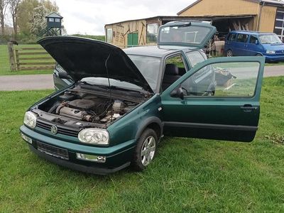 Grün Gebraucht 1996 VW Golf III Kleinwagen | 2.099 €