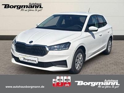 Second-hand Skoda Fabia Active 65 CP (47 kW) 2023 Alb Hatchback