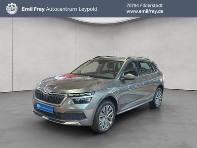 Gebraucht Skoda Kamiq Tour 110 PS (80 kW) 2023 Grau SUV