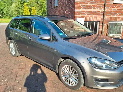 Gebraucht VW Golf VII Cup 105 PS (77 kW) 2014 Grau Kombi