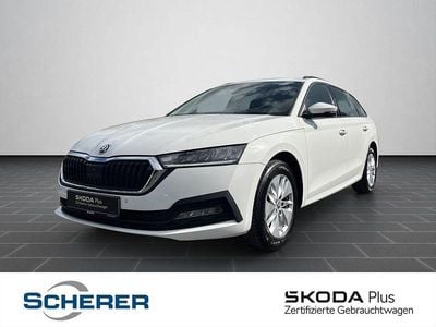 Usata Skoda Octavia Ambition 150 CV (110 kW) 2022 Bianco Station wagon