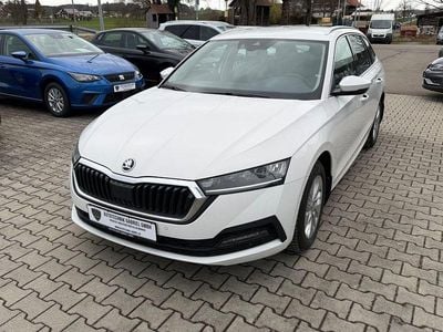 Gebraucht Skoda Octavia Ambition 150 PS (110 kW) 2023 Weiß Kombi