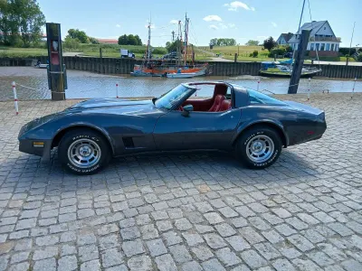 Gebraucht Corvette C3 210 PS (154 kW) 1981 Grau Coupé