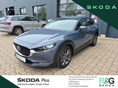 Gebraucht Mazda CX-30 Selection 179 PS (131 kW) 2020 Grau SUV