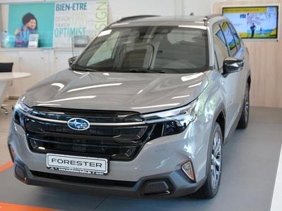 Nuova Subaru Forester Platinum 136 CV (100 kW) 2026 Grigio SUV