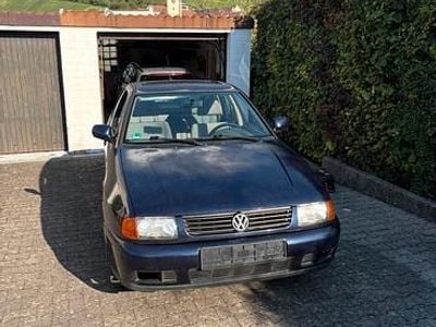VW Polo