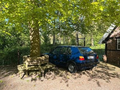 Usata VW Golf III 1992 Blu Utilitaria