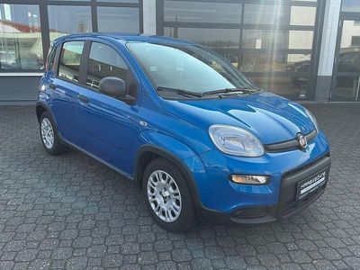 Gebraucht Fiat Panda 69 PS (50 kW) 2025 Blau Kleinwagen