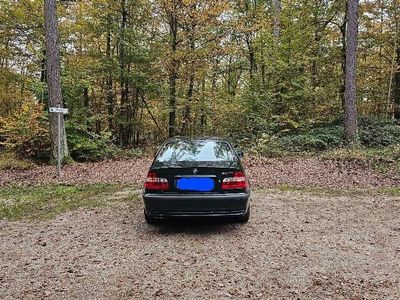 BMW 323