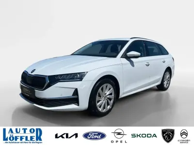 Gebraucht Skoda Octavia Selection 150 PS (110 kW) 2024 Moonweiß (metallic) Kombi