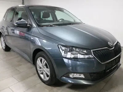 Gebraucht Skoda Fabia Ambition 110 PS (80 kW) 2020 Grau Kleinwagen