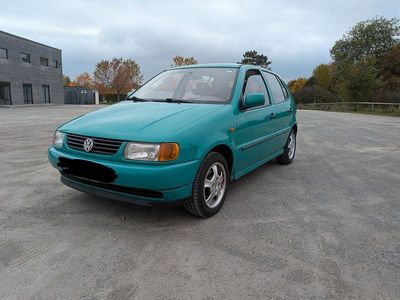 VW Polo