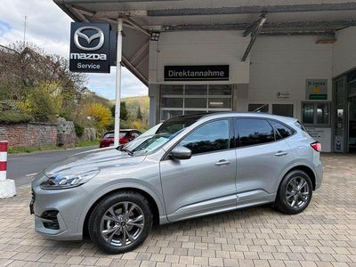 Gebraucht Ford Kuga ST-Line X 150 PS (110 kW) 2023 Silber SUV