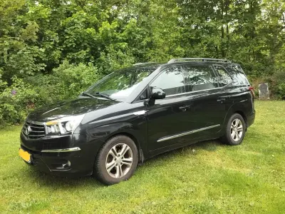 Usata SsangYong Rodius
