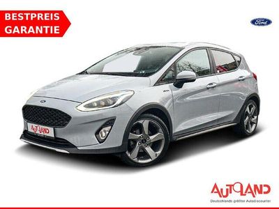 Gebraucht Ford Fiesta Active 140 PS (102 kW) 2018 Grau Limousine