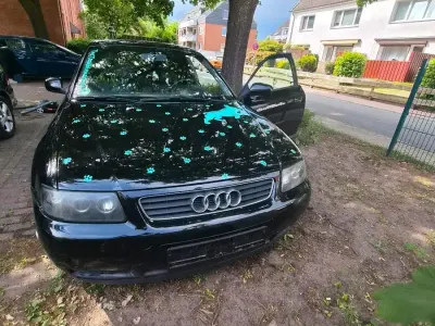 Gebraucht Audi A3 101 PS (74 kW) 1999 Schwarz Kleinwagen
