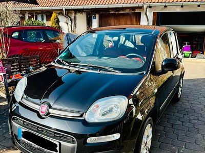 Gebraucht Fiat Panda Lounge 69 PS (50 kW) 2016 Schwarz Kleinwagen