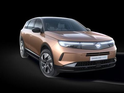 Opel Grandland Electric