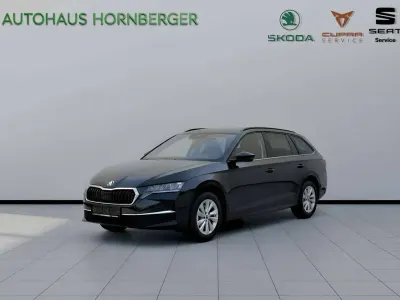 Gebraucht Skoda Octavia