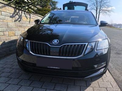 gebraucht Skoda Octavia G-TEC Combi 1.4 TSI Ambition