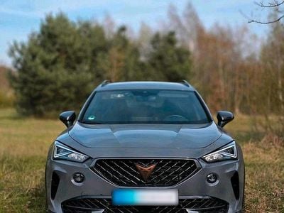 Usata Cupra Formentor 310 CV (228 kW) 2020 Grigio SUV