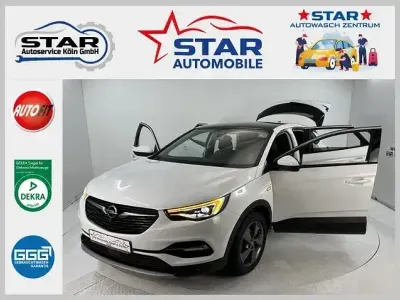 Gebraucht Opel Grandland X Business Elegance 131 PS (96 kW) 2022 Weiß SUV