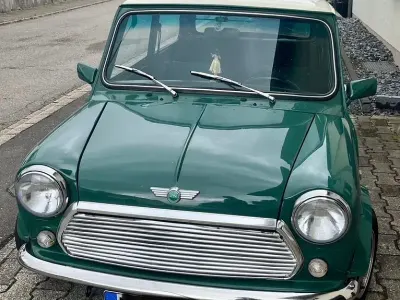 Occasion Mini 1300 53 ch (38 kW) 1996 Vert Citadine