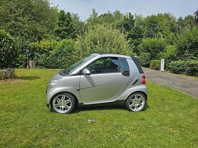 Silber Gebraucht 2009 Smart ForTwo Cabrio Passion Cabrio | 7.555 € (Etwas zu teuer)