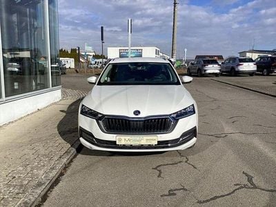 Gebraucht Skoda Octavia Style 116 PS (85 kW) 2023 Candyweiss Kombi