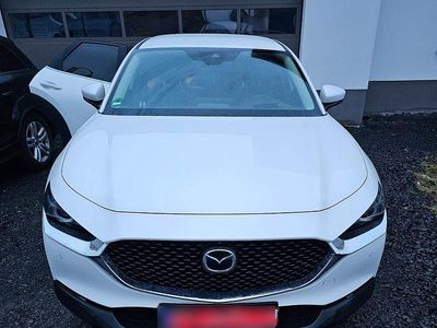 Gebraucht Mazda CX-30 Selection 179 PS (131 kW) 2020 Weiß SUV