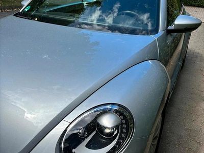 VW Beetle