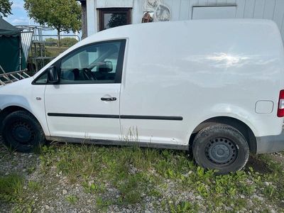 VW T5