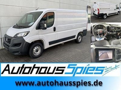 Weiss pastell Gebraucht 2024 Fiat Ducato Van | 19.990 €