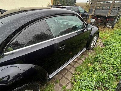 VW Beetle