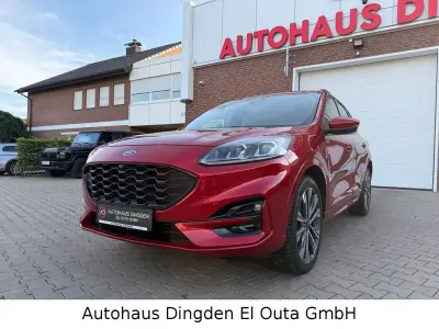 Gebraucht Ford Kuga ST-Line X 152 PS (111 kW) 2024 Rot SUV