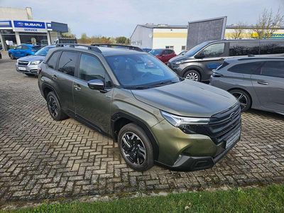 Nuova Subaru Forester Exclusive+ 136 CV (100 kW) 2025 Verde SUV