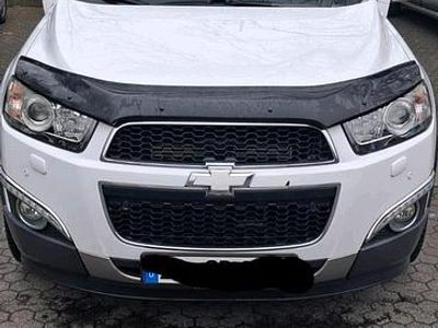 Gebraucht Chevrolet Captiva 163 PS (119 kW) 2013 Weiß SUV
