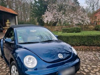 gebraucht VW Beetle 