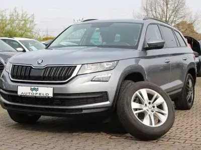 Gebraucht Skoda Kodiaq 150 PS (110 kW) 2020 Grau (metallic) SUV