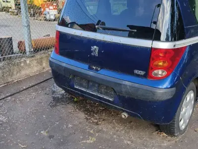 Gebraucht Peugeot 1007 Premium 73 PS (53 kW) 2006 Blau Van / Kleinbus