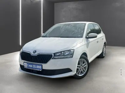 Gebraucht Skoda Fabia Ambition 95 PS (69 kW) 2020 Kleinwagen
