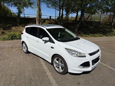 Gebraucht Ford Kuga Individual 163 PS (119 kW) 2014 Weiß SUV