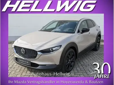 Neu Mazda CX-30 Homura-Line 186 PS (136 kW) 2026 Beige SUV