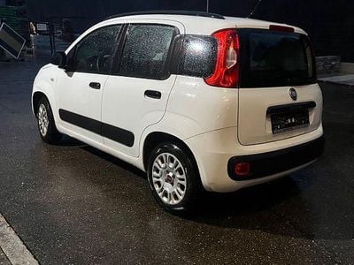 Gebraucht Fiat Panda 4x4 Wild 63 PS (46 kW) 2012 Weiß Kleinwagen