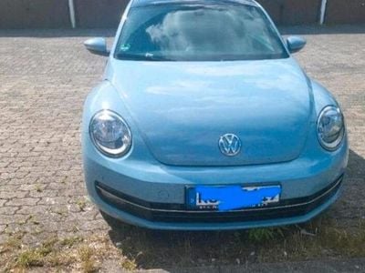 VW Beetle
