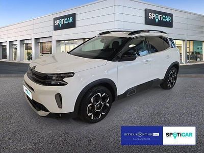 Gebraucht Citroën C5 Aircross Shine 136 PS (100 kW) 2024 Weiß SUV