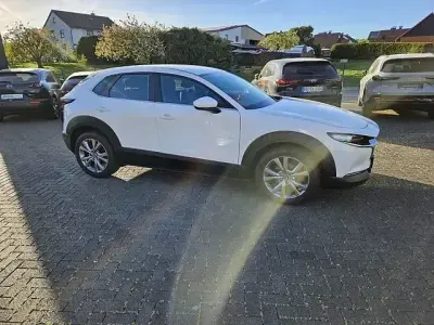 Brugt Mazda CX-30 Selection 122 HK (89 kW) 2022 Hvid SUV