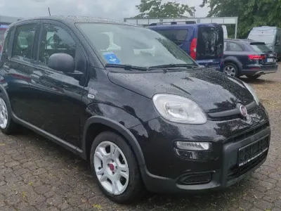 Gebraucht Fiat Panda 69 PS (50 kW) 2024 Schwarz Kleinwagen