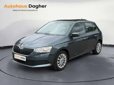 Gebraucht Skoda Fabia Cool Plus 95 PS (69 kW) 2021 Seda quartz/quartz grey Kleinwagen